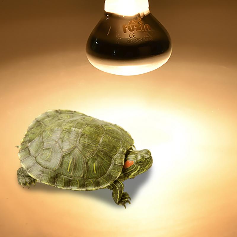 Pet Heating Lamp E27 Day Night - Ceramic Heat Emitter avis et prix