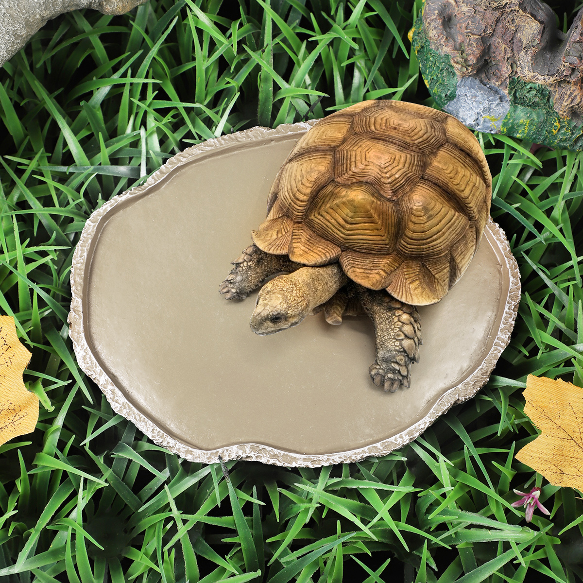 Pets Feeding Plate Reptile Fee - Water Dish Reptile avis et prix