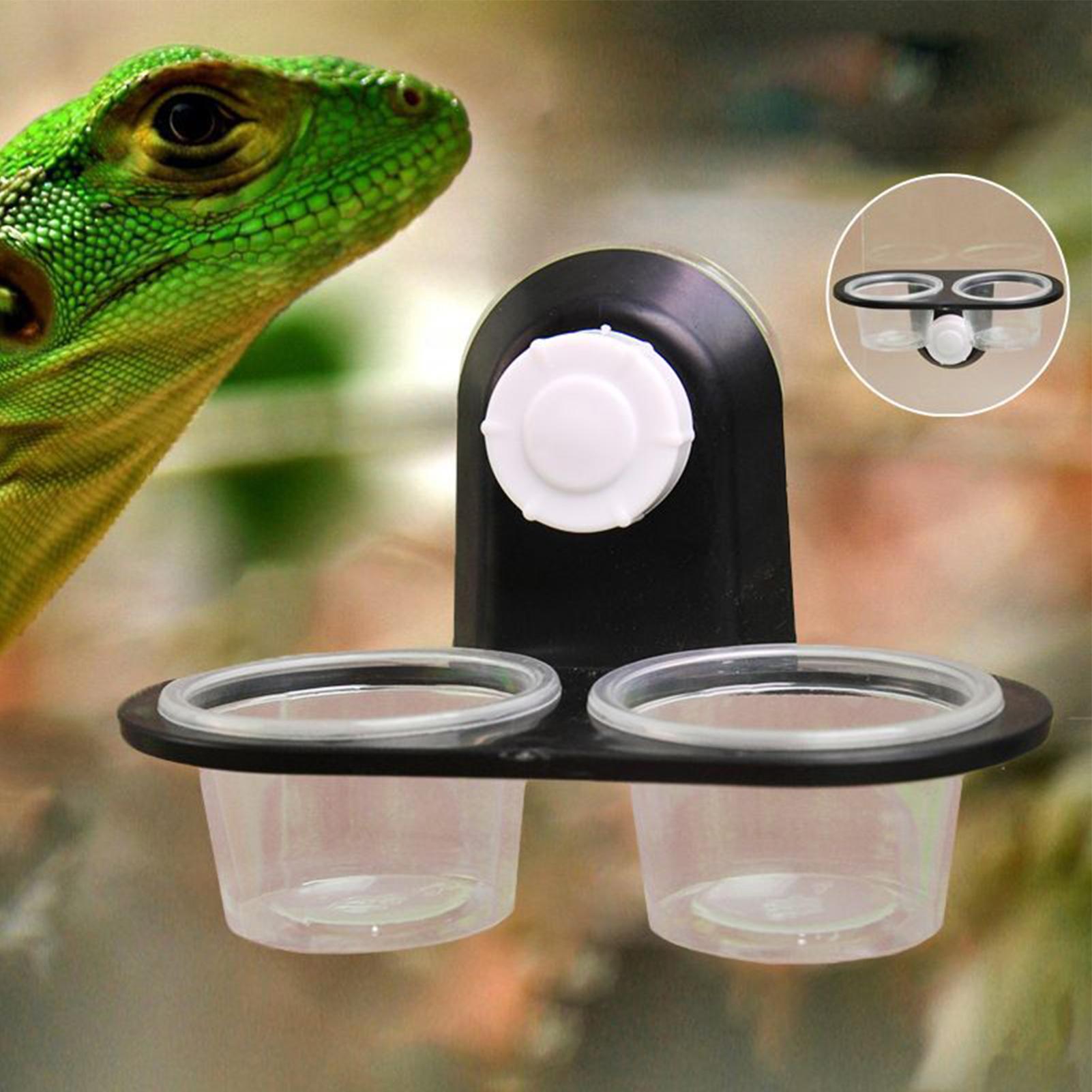 Gecko Food Dish Gecko Feeding  - Water Dish Reptile avis et prix