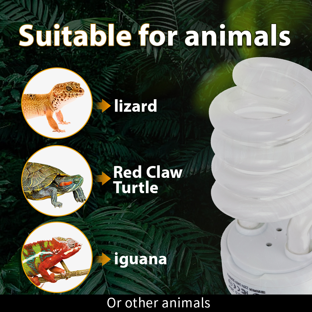 26W Pet Box Lamp Calcium Suppl - Calcium Powder Reptile avis et prix