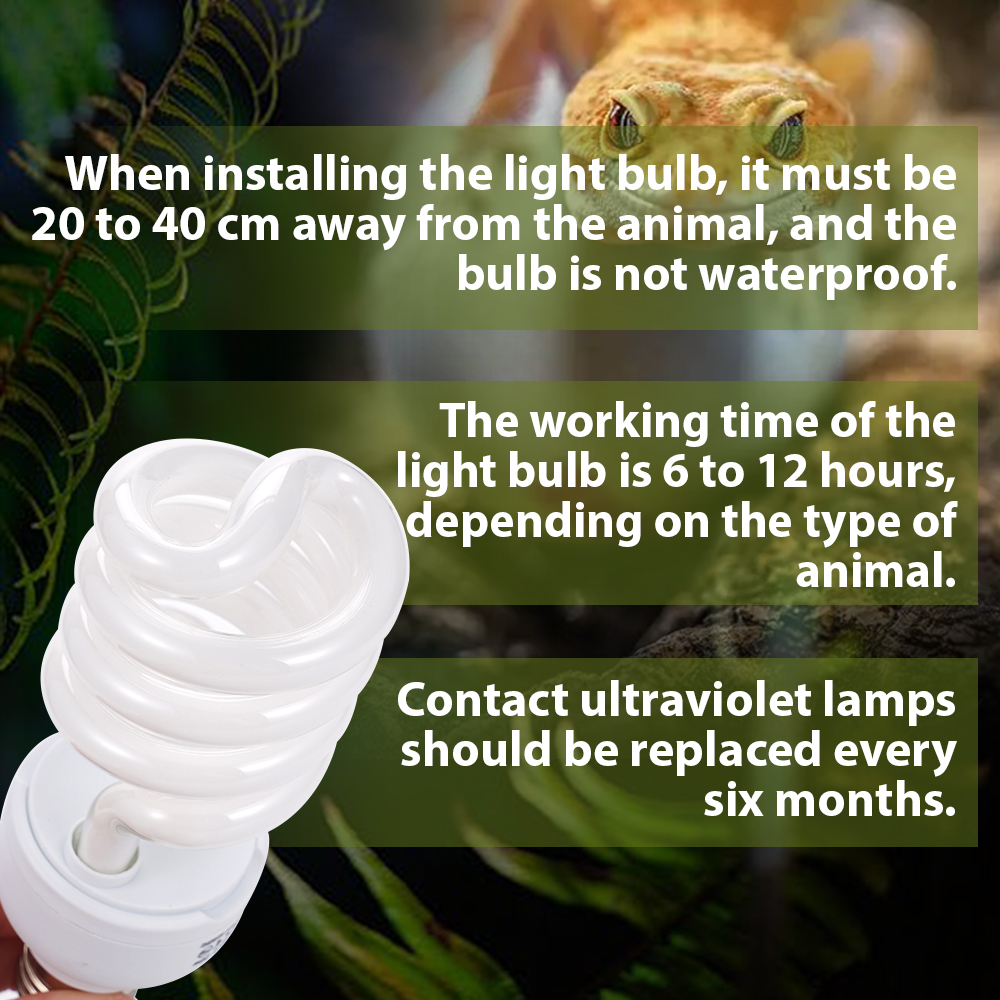 26W Pet Box Lamp Calcium Suppl - Calcium Powder Reptile avis et prix