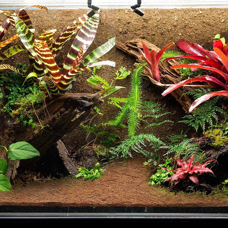 HITL Natural Coconut Fiber Mat - Substrate Coconut Fiber avis et prix