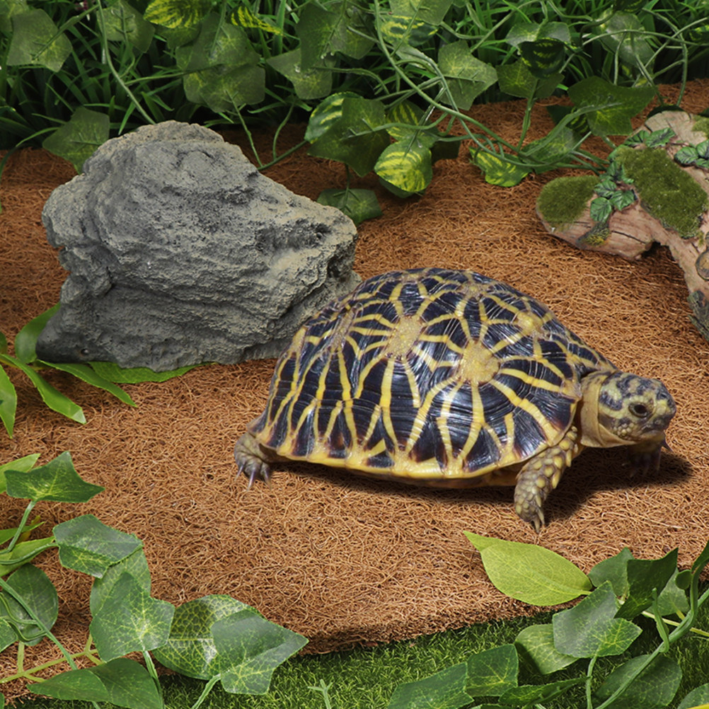 Reptile Terrarium Bedding Subs - Substrate Coconut Fiber avis et prix