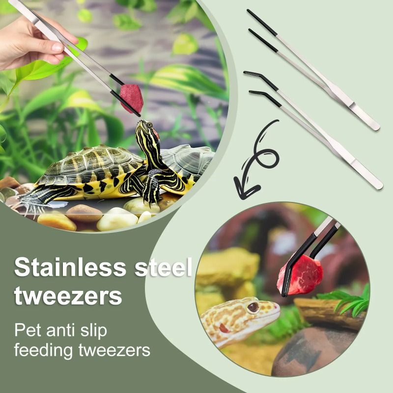 2Pcs Stainless Steel Tweezers  - Feeding Tong Stainless avis et prix