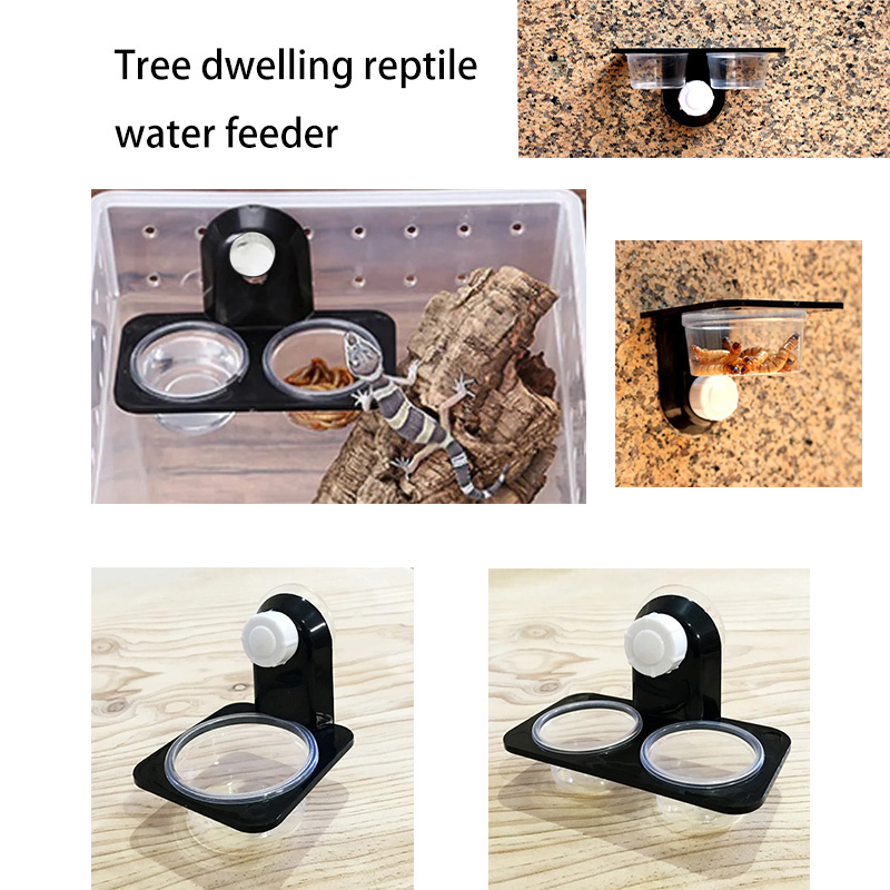 Reptile Tank Accessories Insec - Water Dish Reptile avis et prix