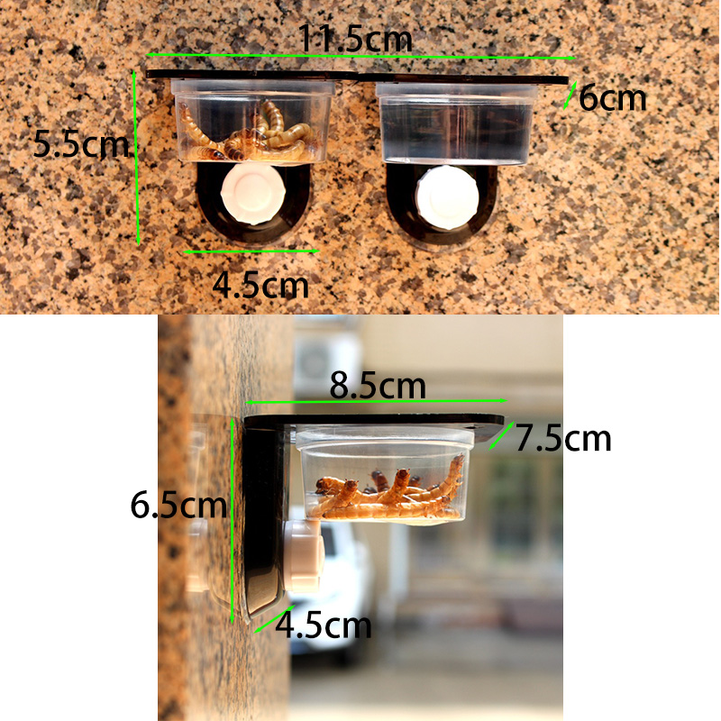 Reptile Tank Accessories Insec - Water Dish Reptile avis et prix