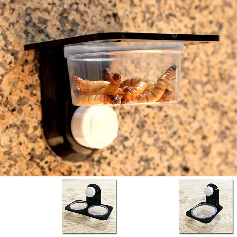 Reptile Tank Accessories Insec - Water Dish Reptile avis et prix