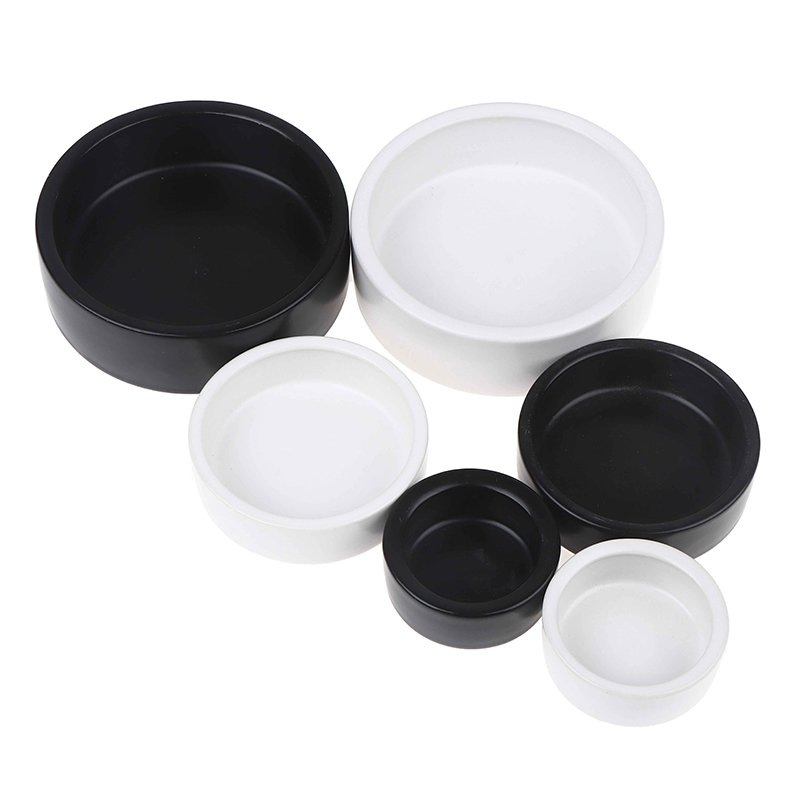 Reptile Food Ceramic Bowl Anti - Water Dish Reptile avis et prix