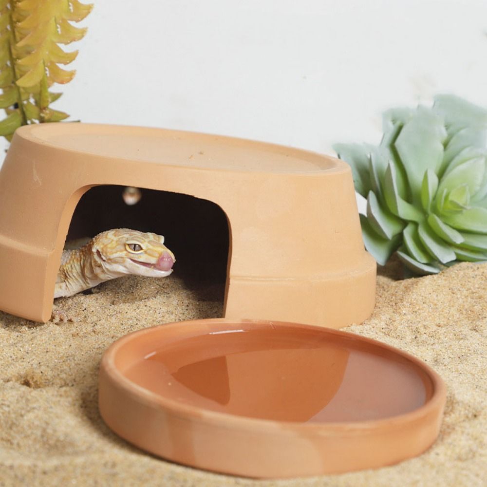 Multifunctional Ceramics Repti - Hide Cave Ceramic avis et prix