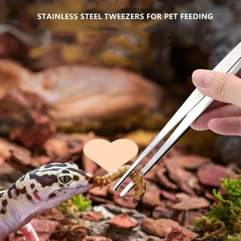 Stainless Multifuctional Steel - Feeding Tong Stainless avis et prix