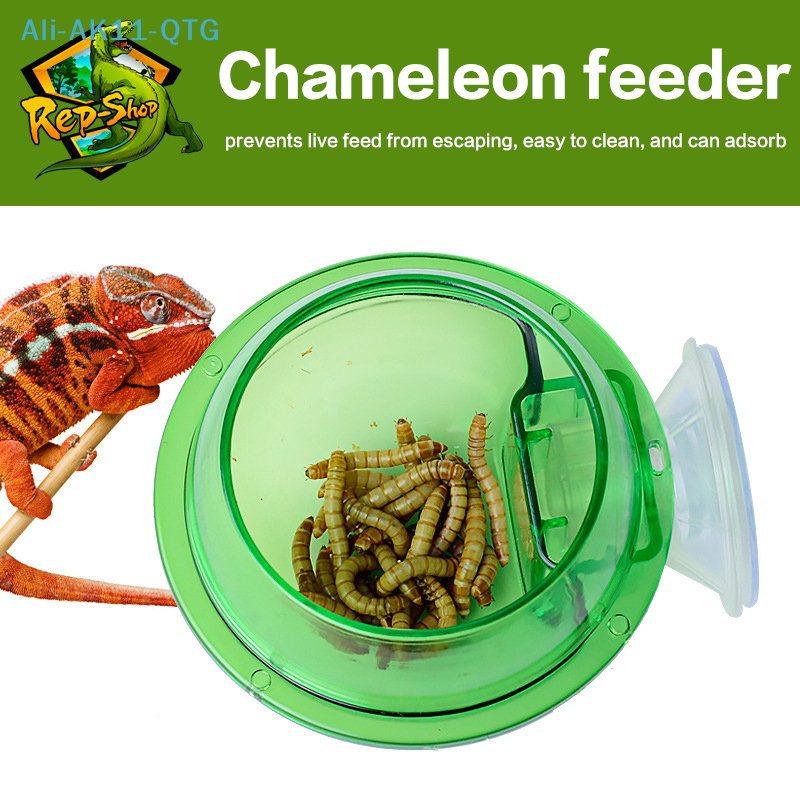 HOT! Arboreal Reptile Live Ant - Water Dish Reptile avis et prix