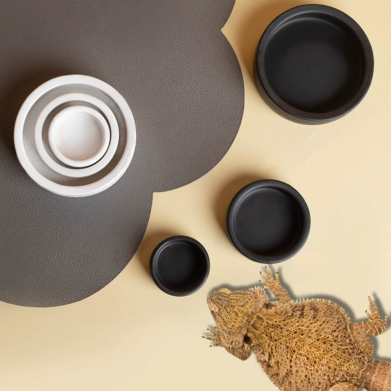 HOT! Reptile Food Bowl Anti-Es - Water Dish Reptile avis et prix