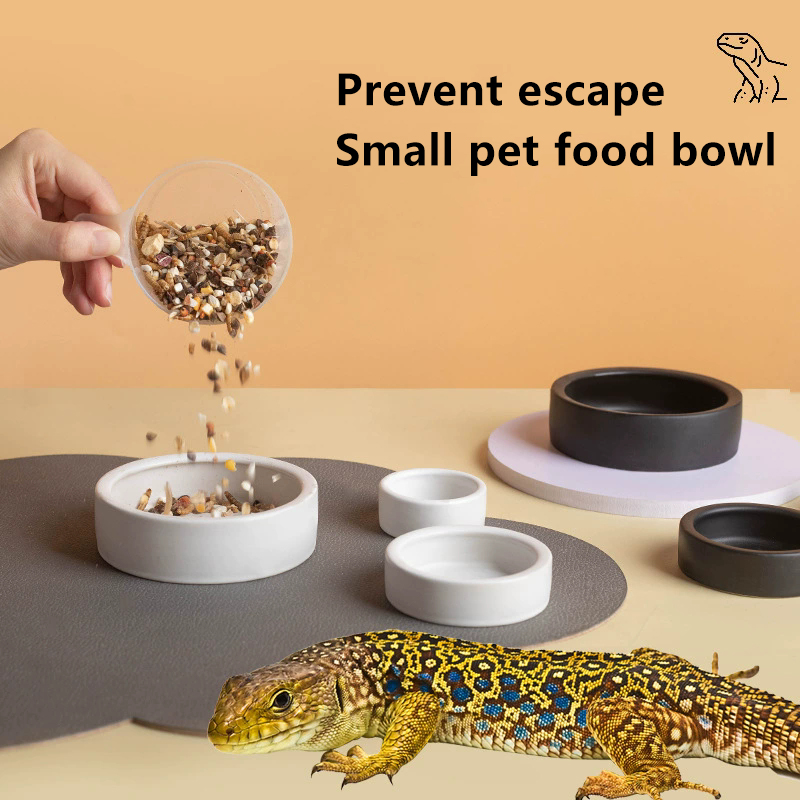 HOT! Reptile Food Bowl Anti-Es - Water Dish Reptile avis et prix