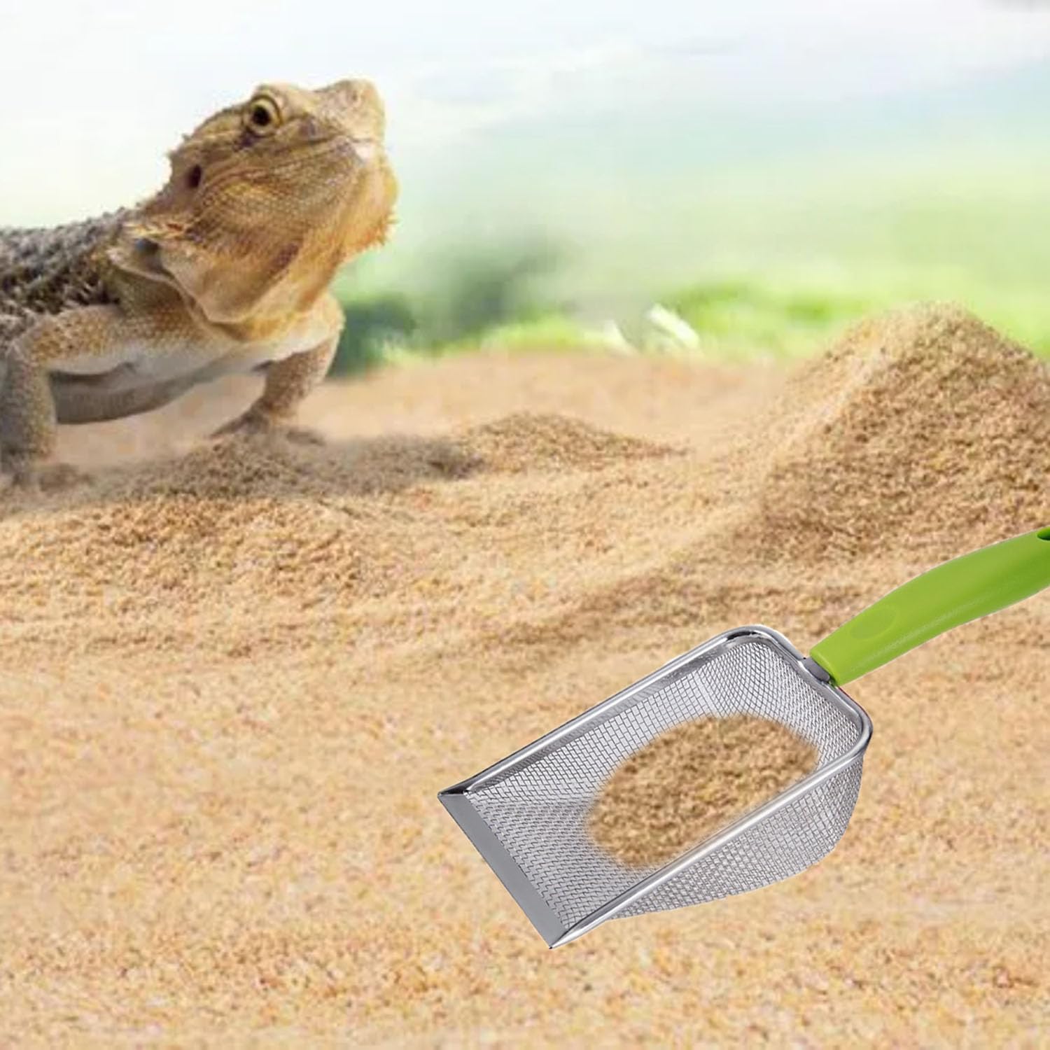 Reptile Sand Scoop Set - Fine  - Feeding Tong Stainless avis et prix