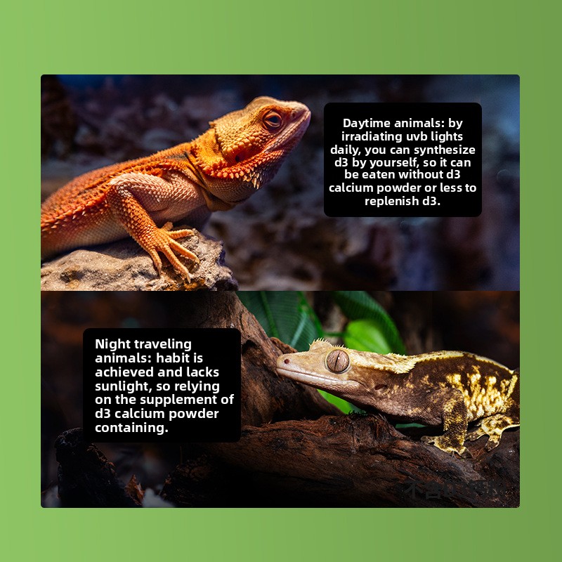 Reptizoo Reptile Calcium Powde - Vitamin D3 Reptile avis et prix