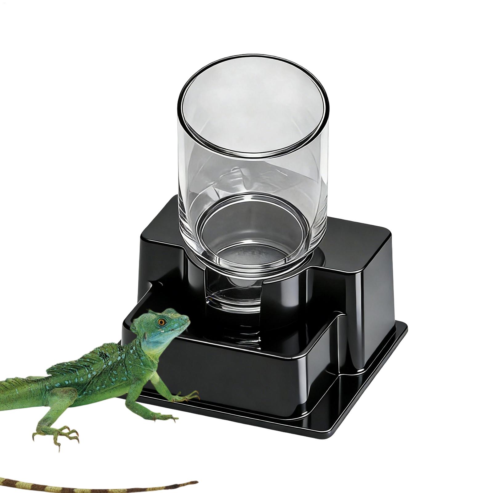 Bearded Dragon Water Fountain  - Water Dish Reptile avis et prix