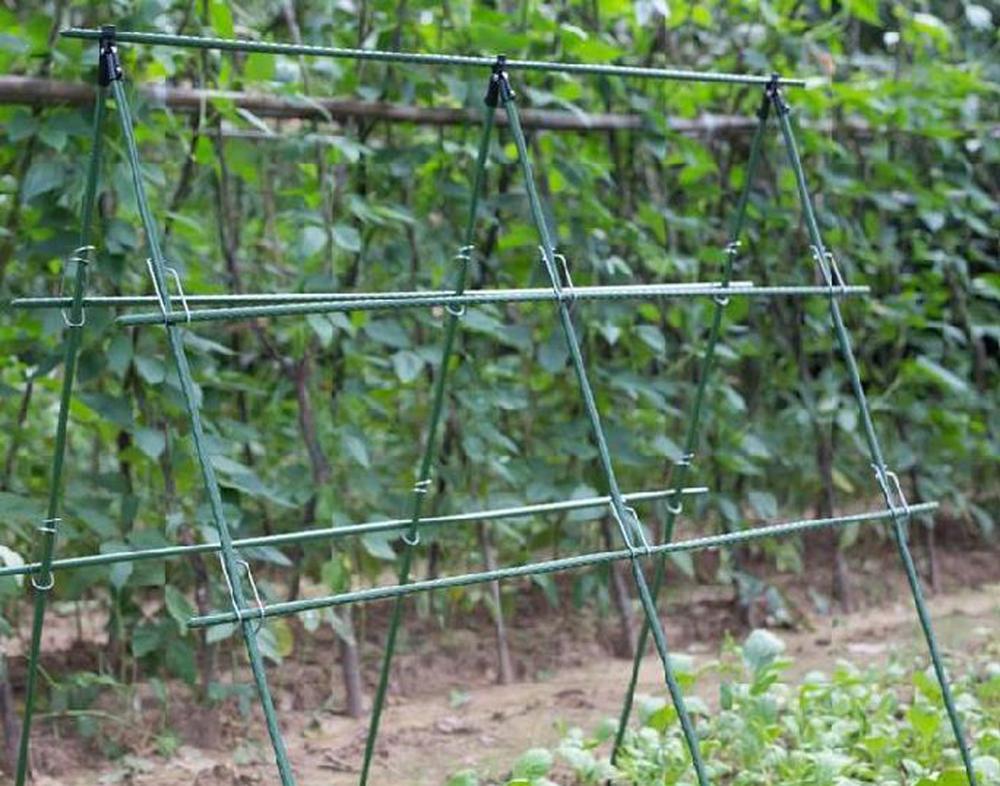 Diameter 8/11/16mm Plant Suppo - Vine Climbing Plastic avis et prix