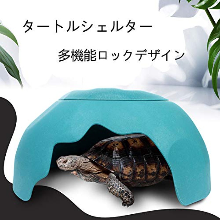 【Spot goods】Reptiles House wit - Hide Cave Ceramic avis et prix