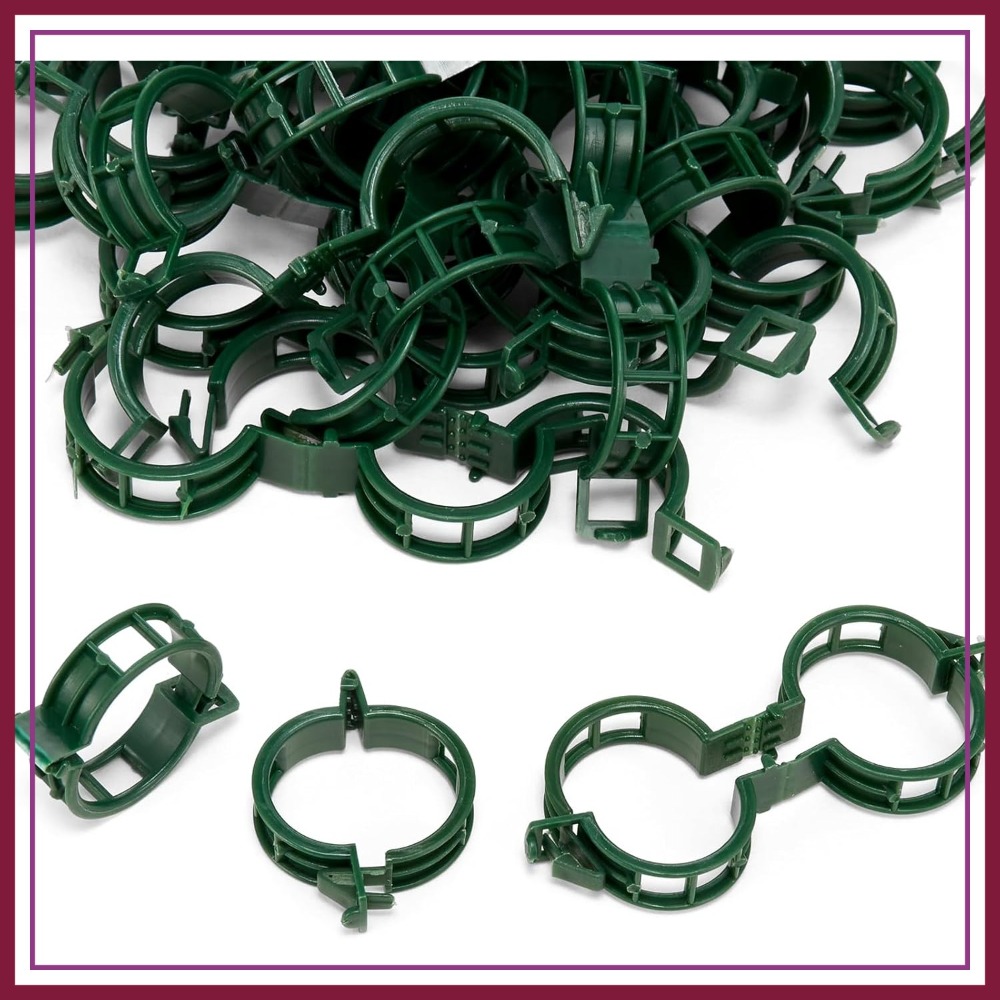 100 Pcs Plant Support Clips fo - Vine Climbing Plastic avis et prix