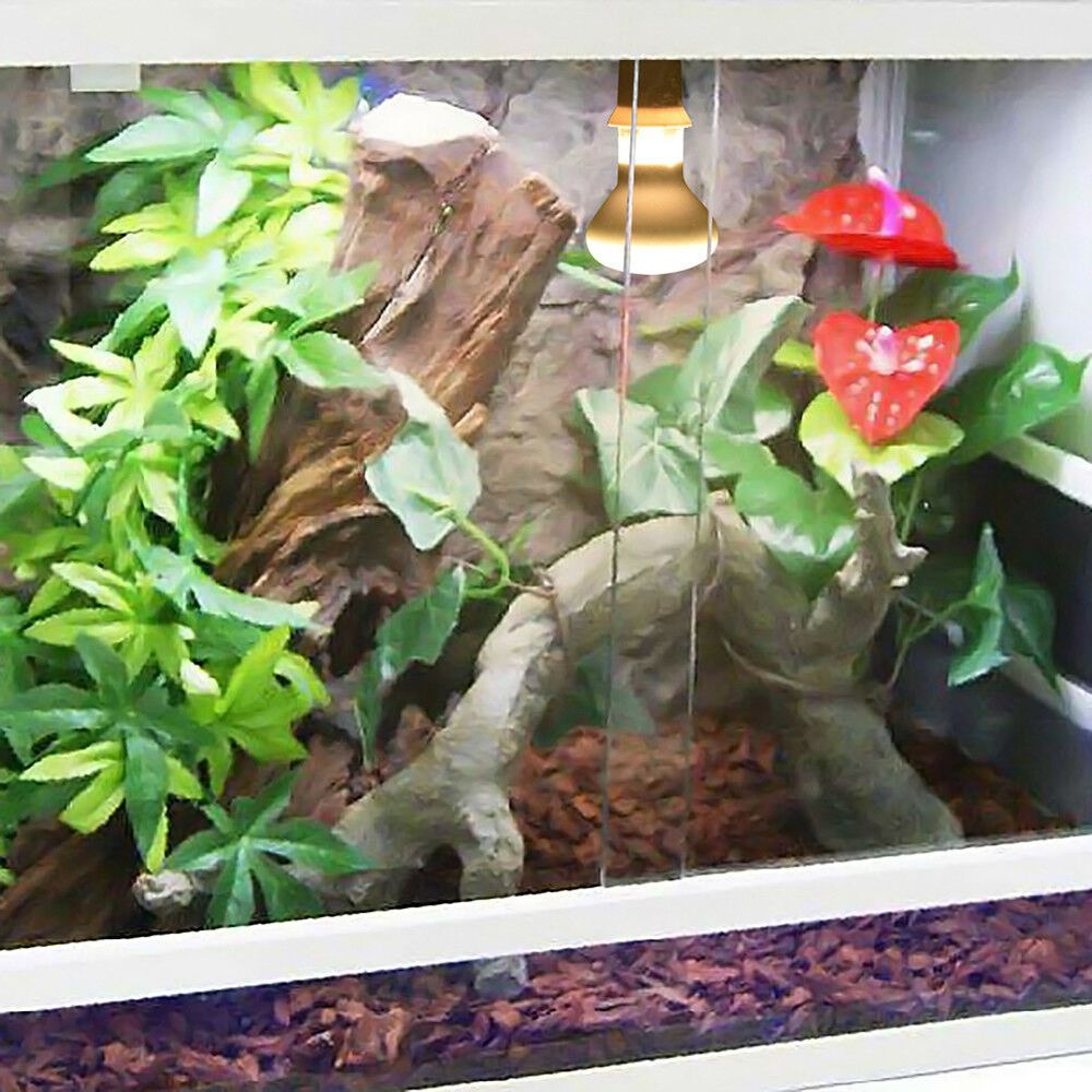 Turtle Temperature Controller  - Basking Bulb Halogen avis et prix