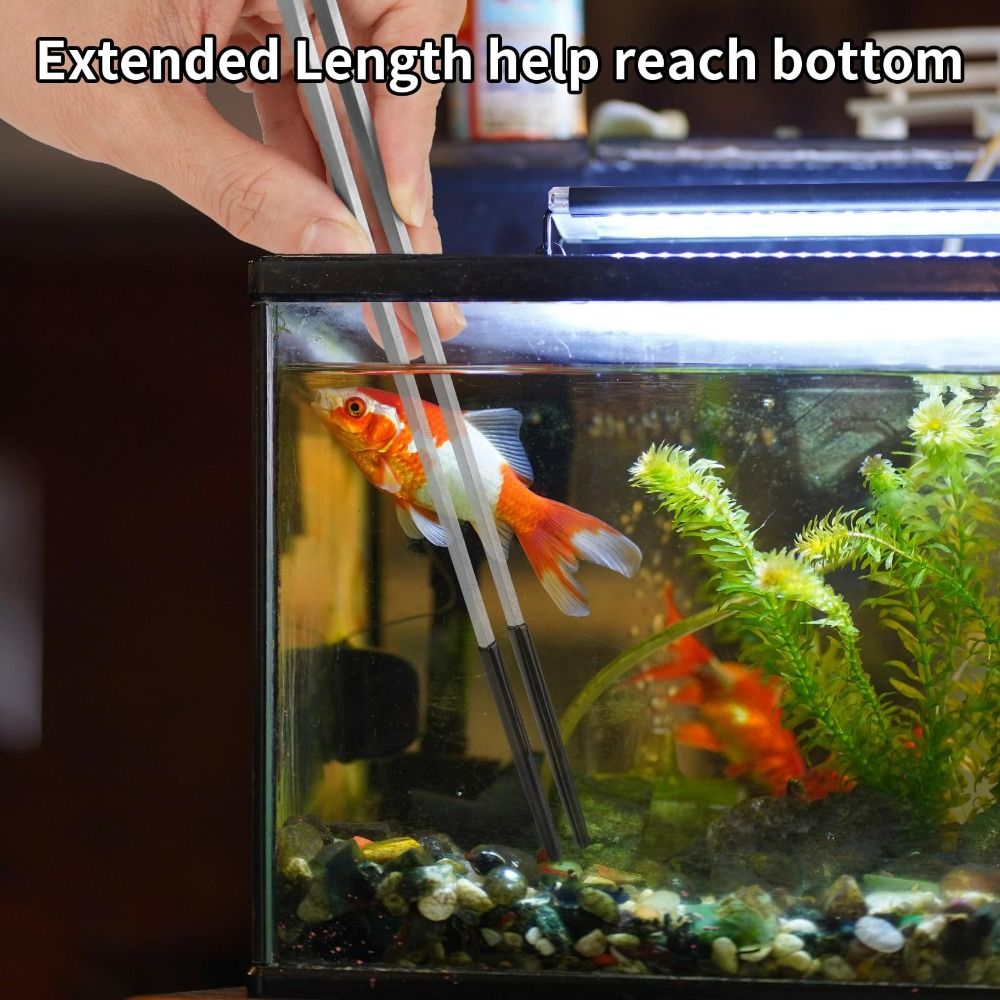 Stainless Steel Aquarium Feedi - Feeding Tong Stainless avis et prix
