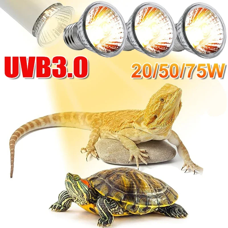 25/50/75W UVB Reptile Lamp Bul - Calcium Powder Reptile avis et prix