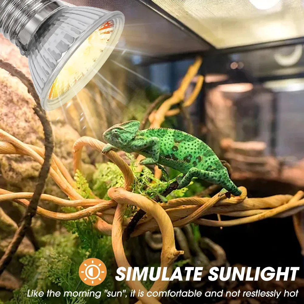 25/50/75W UVB Reptile Lamp Bul - Calcium Powder Reptile avis et prix