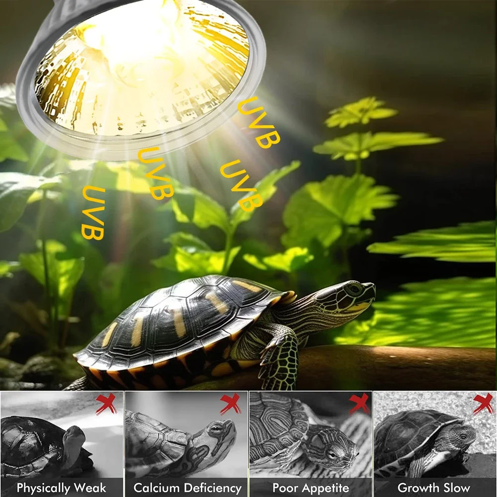 25/50/75W UVB Reptile Lamp Bul - Calcium Powder Reptile avis et prix