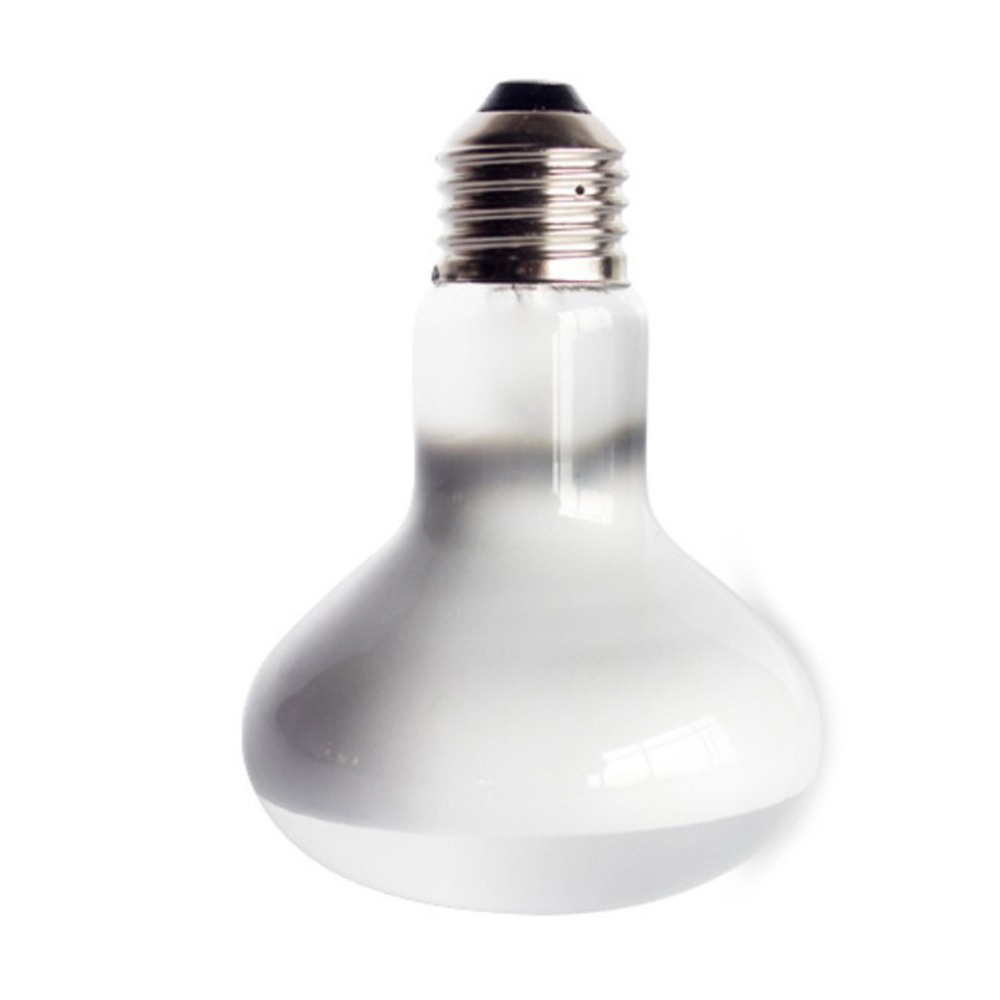 Lizard Heater Temperature Cont - Basking Bulb Halogen avis et prix