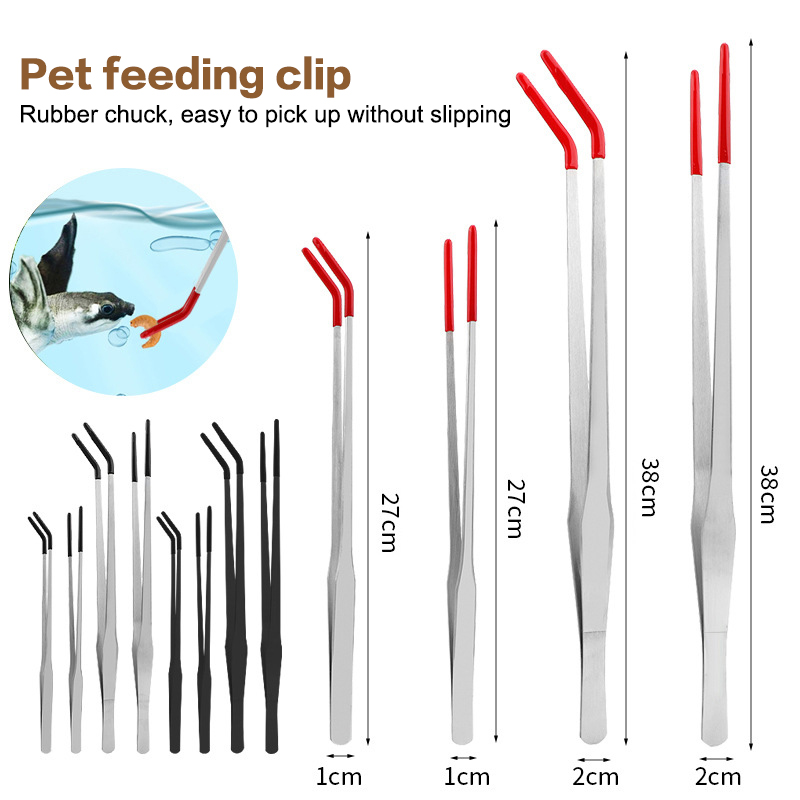 Stainless Steel Reptile Feedin - Feeding Tong Stainless avis et prix