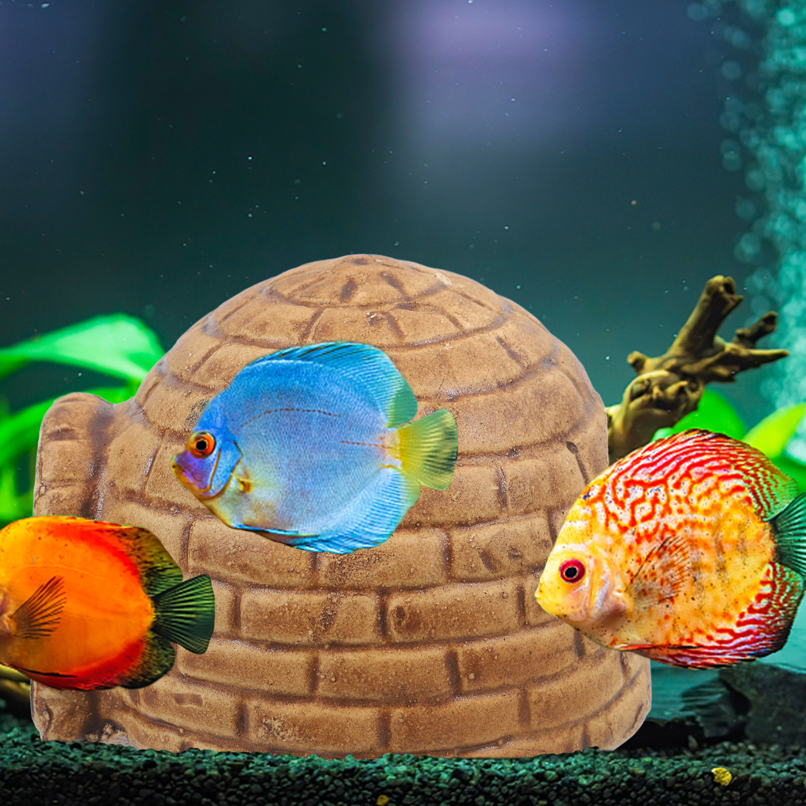 Ceramic Pleco Caves for Aquari - Hide Cave Ceramic avis et prix