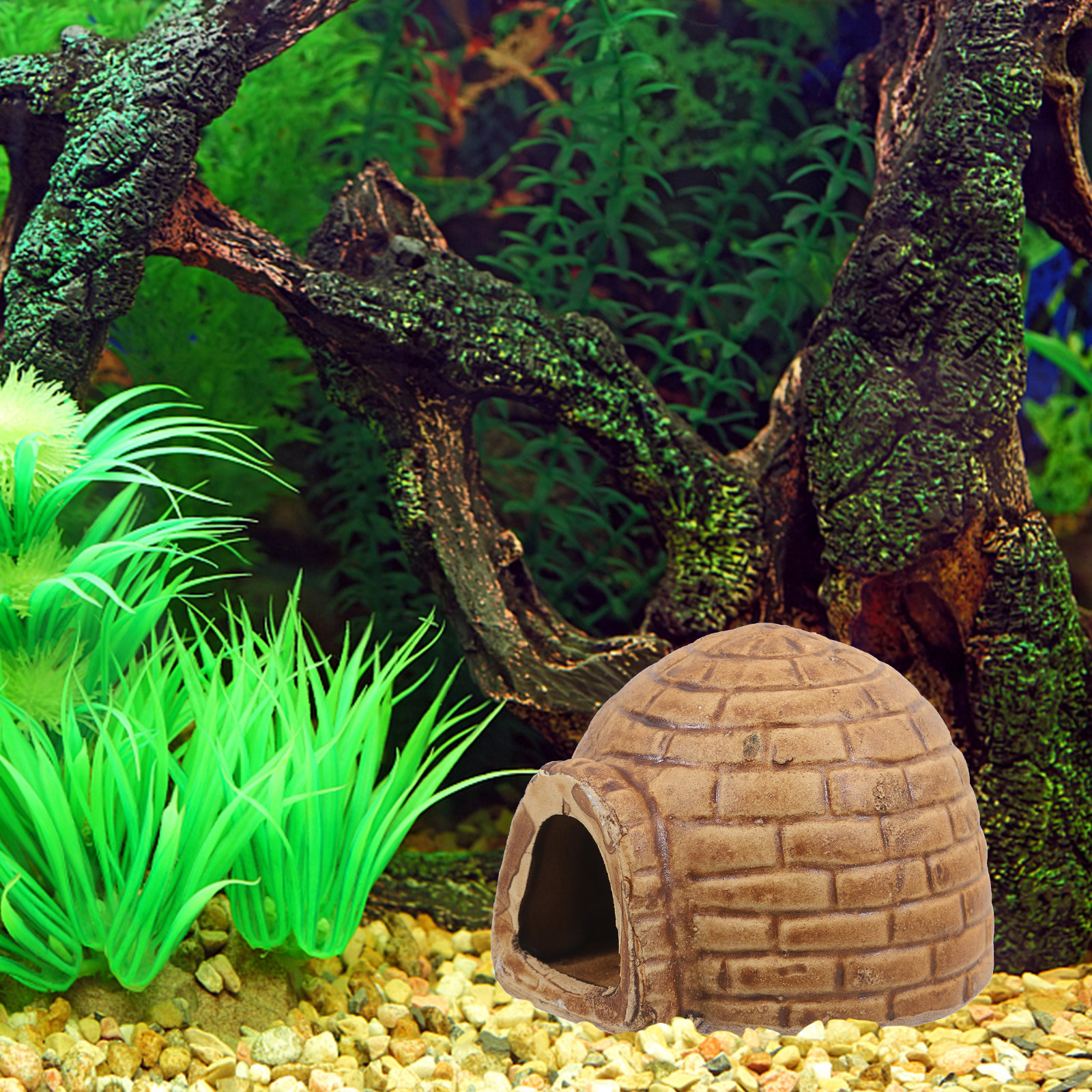Ceramic Pleco Caves for Aquari - Hide Cave Ceramic avis et prix