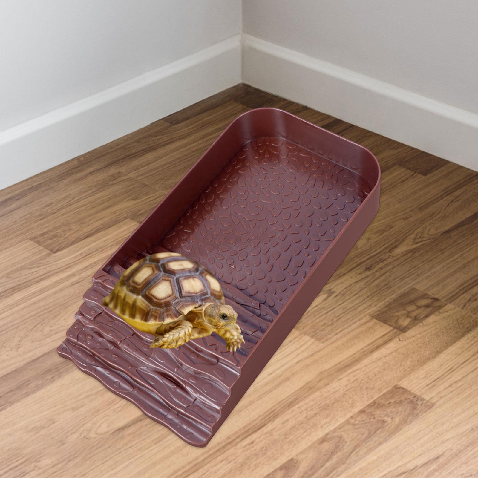 Reptile Water Bowl Accessories - Water Dish Reptile avis et prix