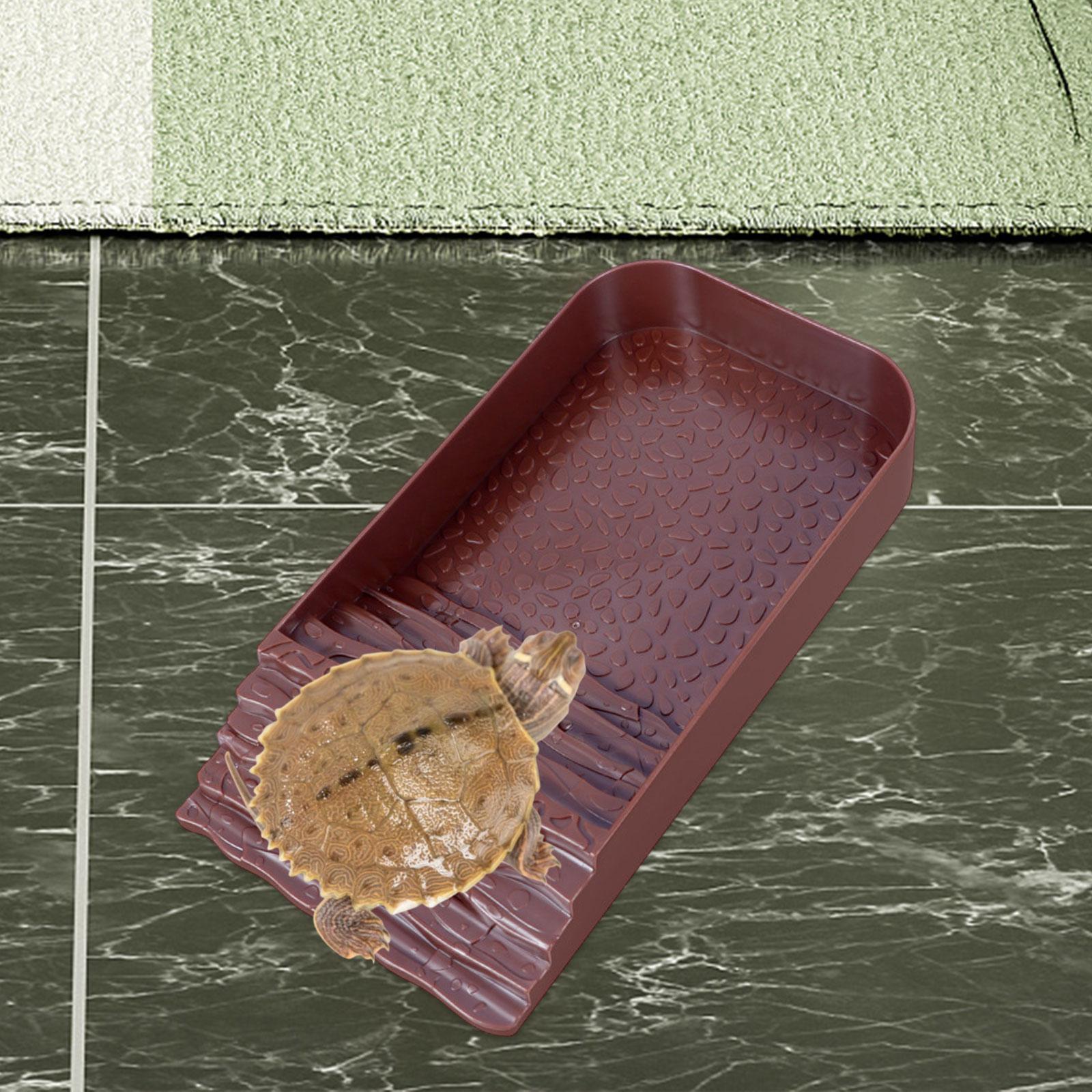 Reptile Water Bowl Accessories - Water Dish Reptile avis et prix