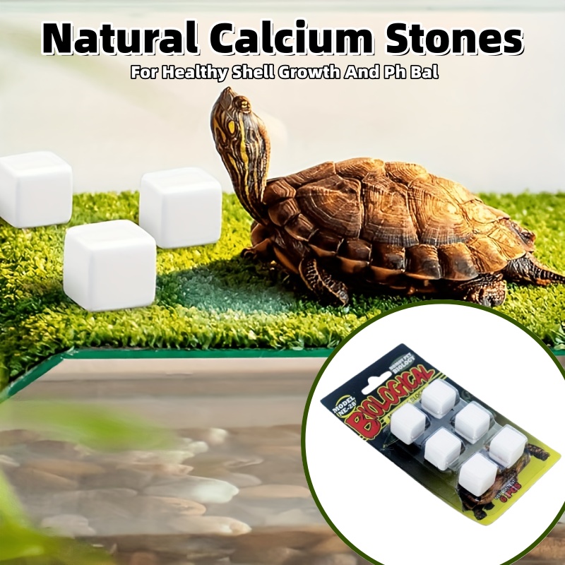 6 Pcs Fish Tank Calcium Block  - Calcium Powder Reptile avis et prix