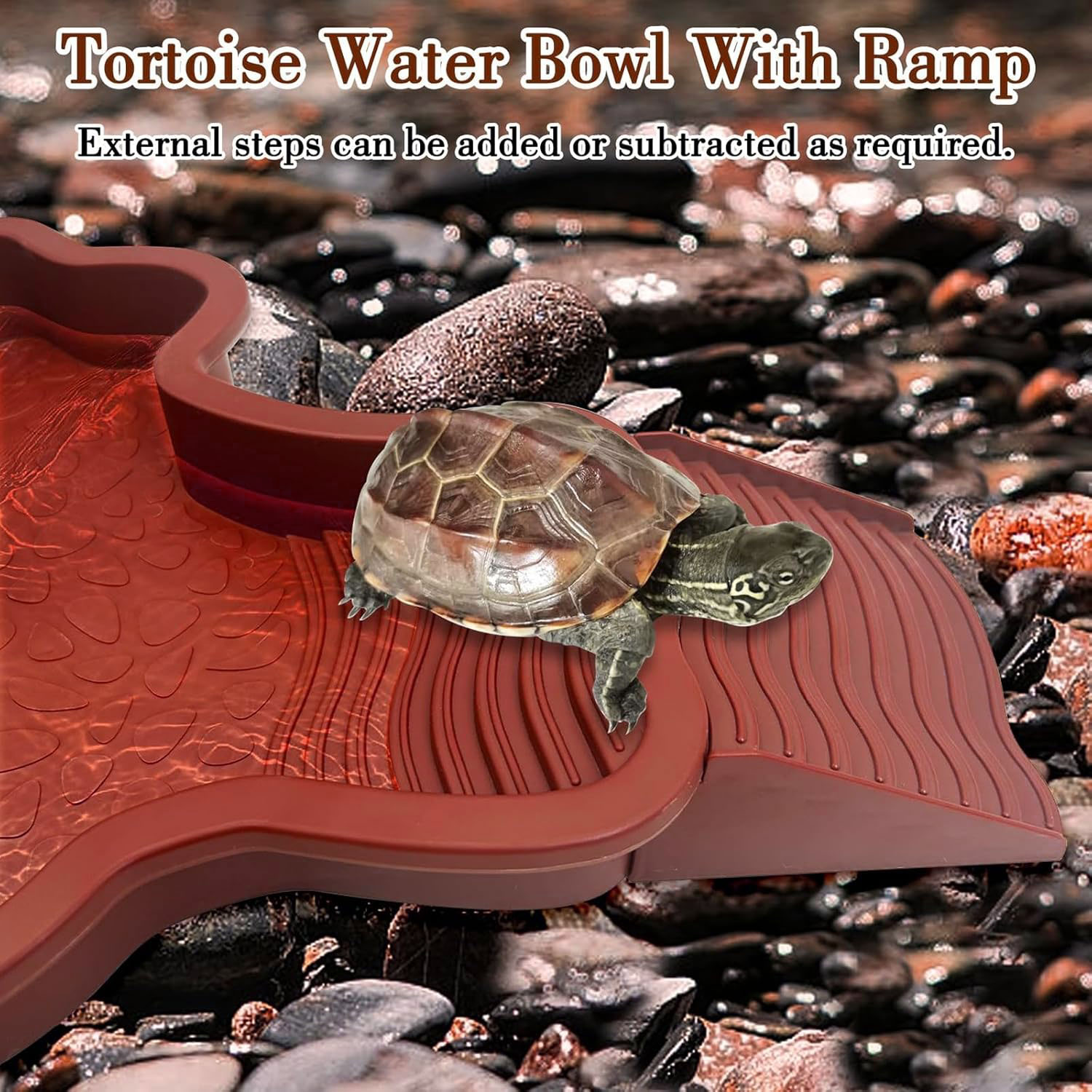 Reptile Bathing Pool with Ramp - Water Dish Reptile avis et prix