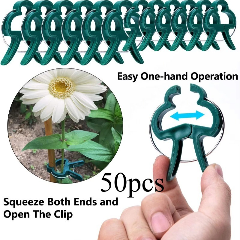 50 Reusable Plant Fixed Clips, - Vine Climbing Plastic avis et prix