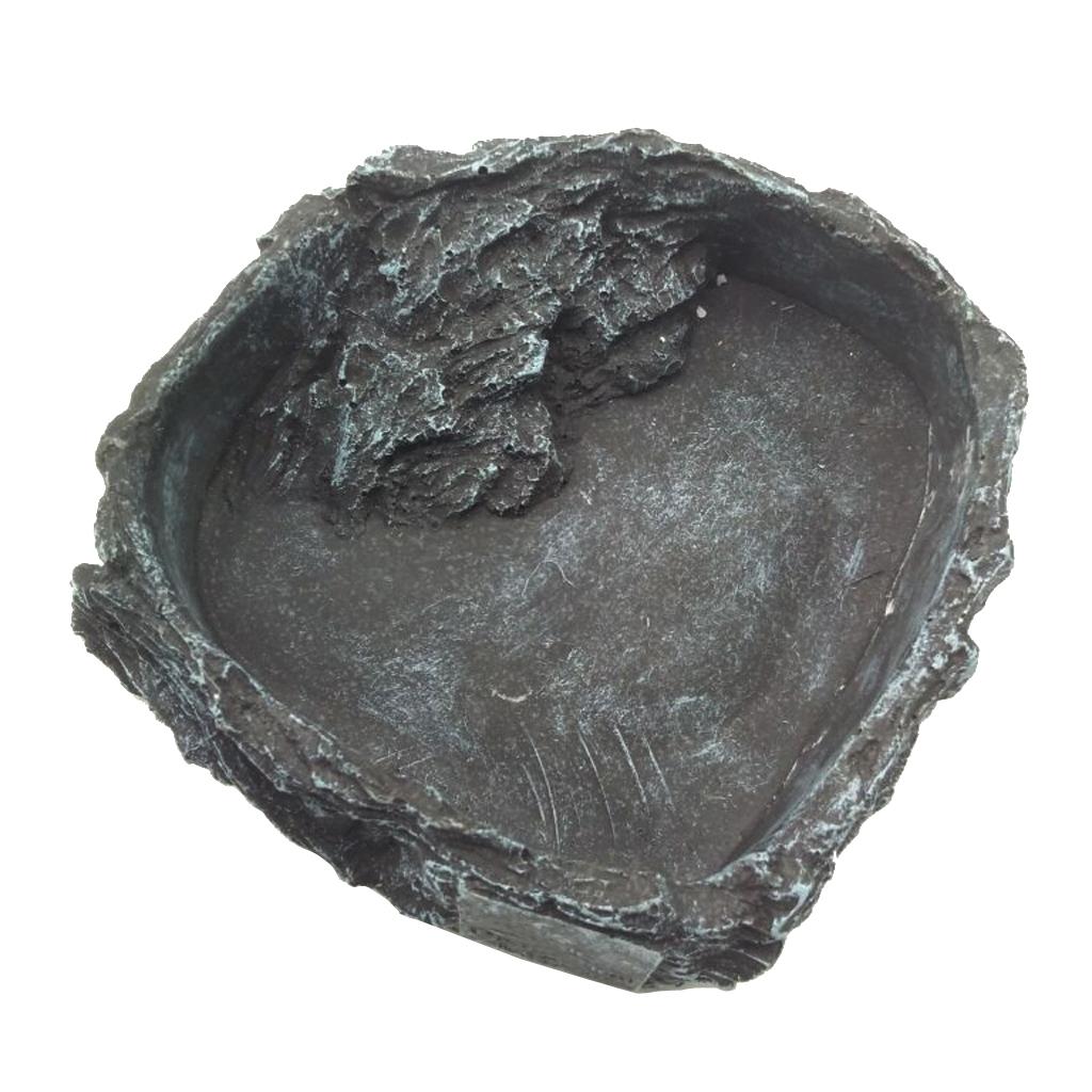 Resin Reptile Water Bowl Corne - Water Dish Reptile avis et prix