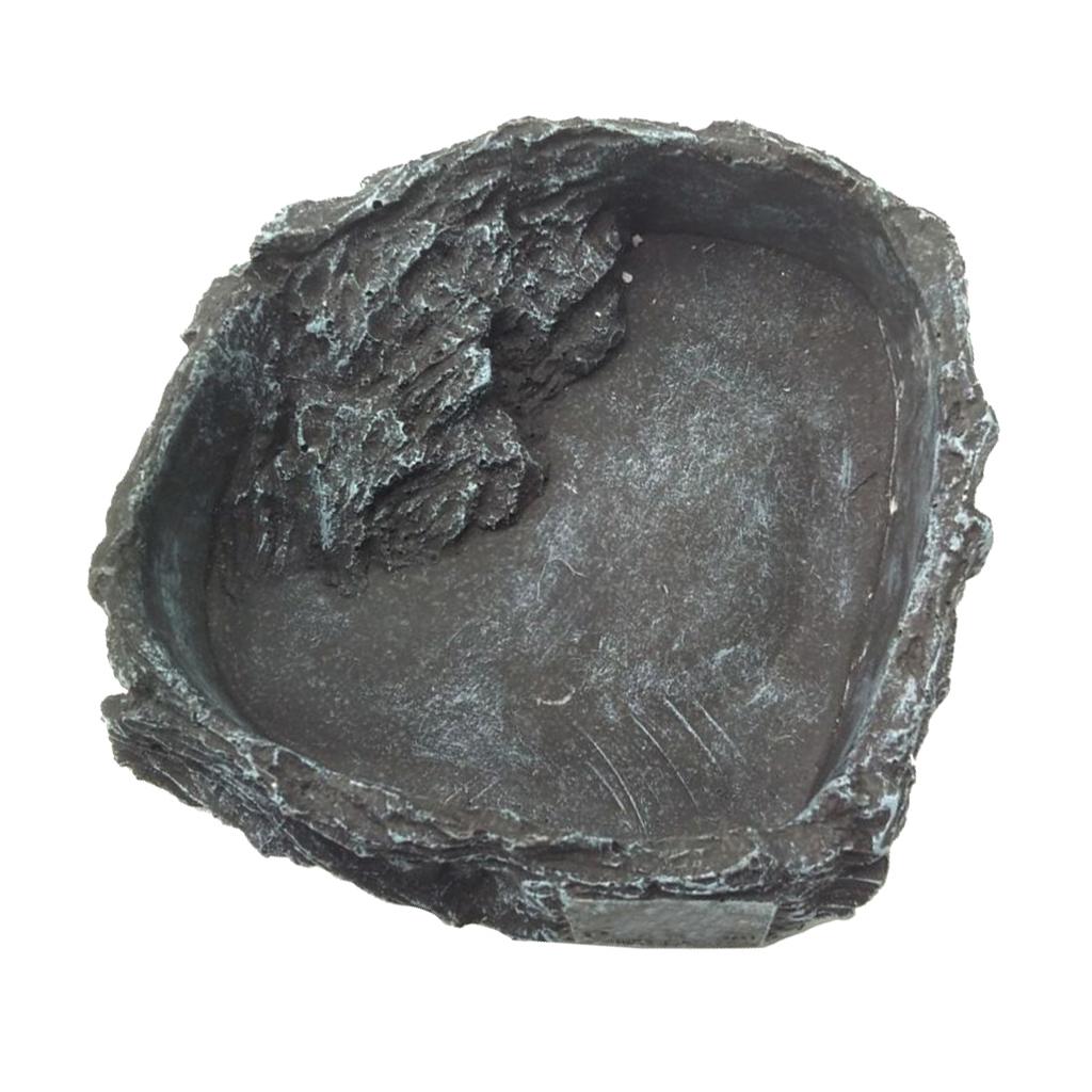 Resin Reptile Water Bowl Corne - Water Dish Reptile avis et prix
