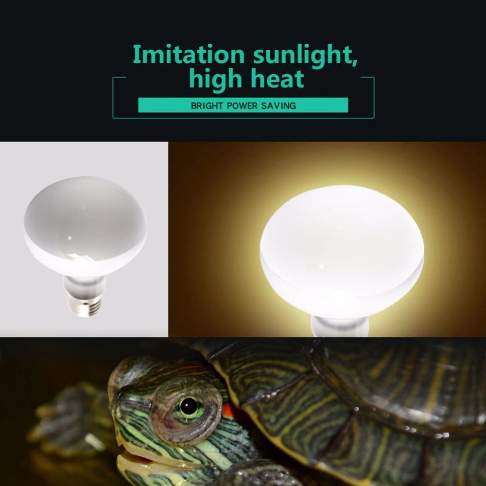 Amphibians Heat Lamp Temperatu - Basking Bulb Halogen avis et prix