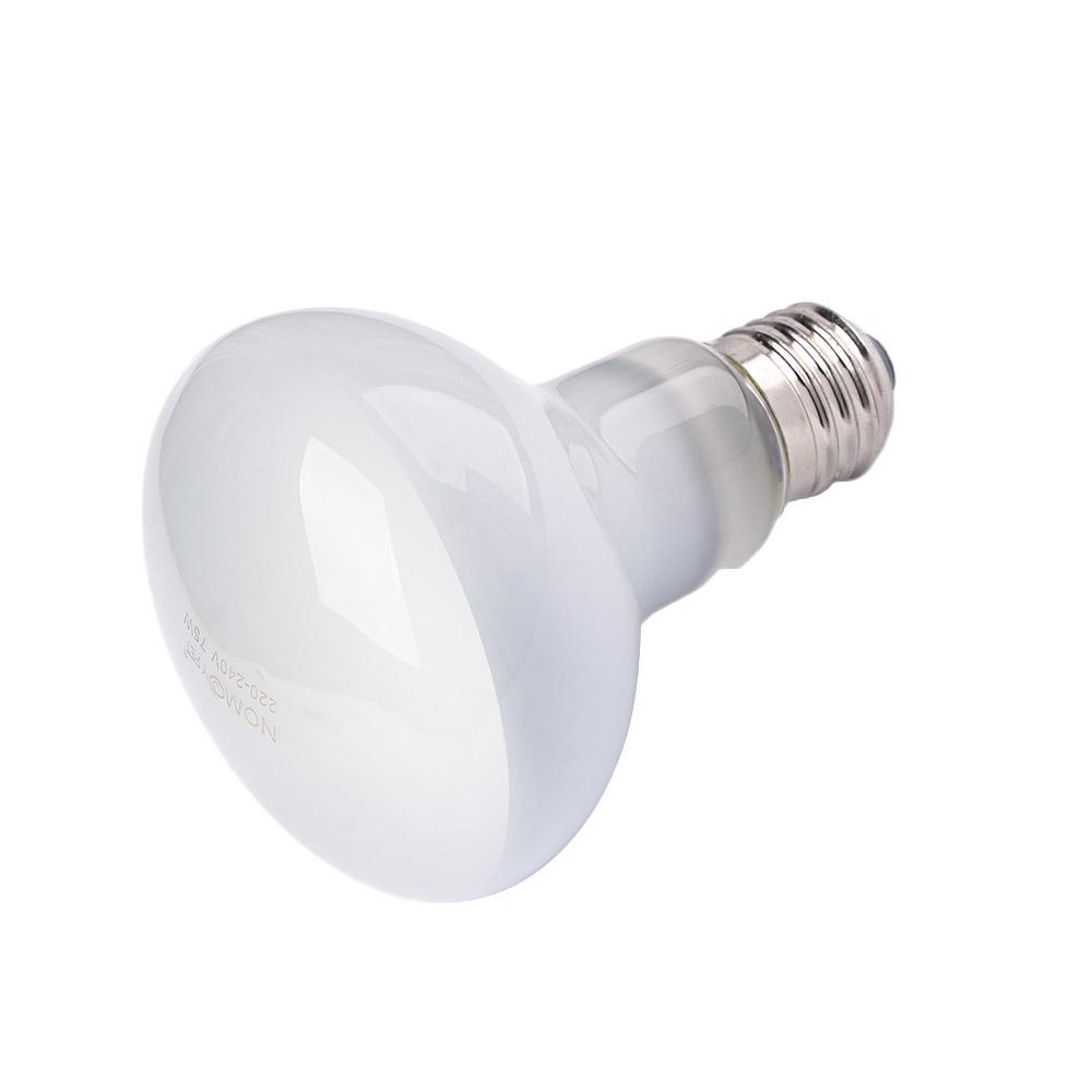 Amphibians Heat Lamp Temperatu - Basking Bulb Halogen avis et prix