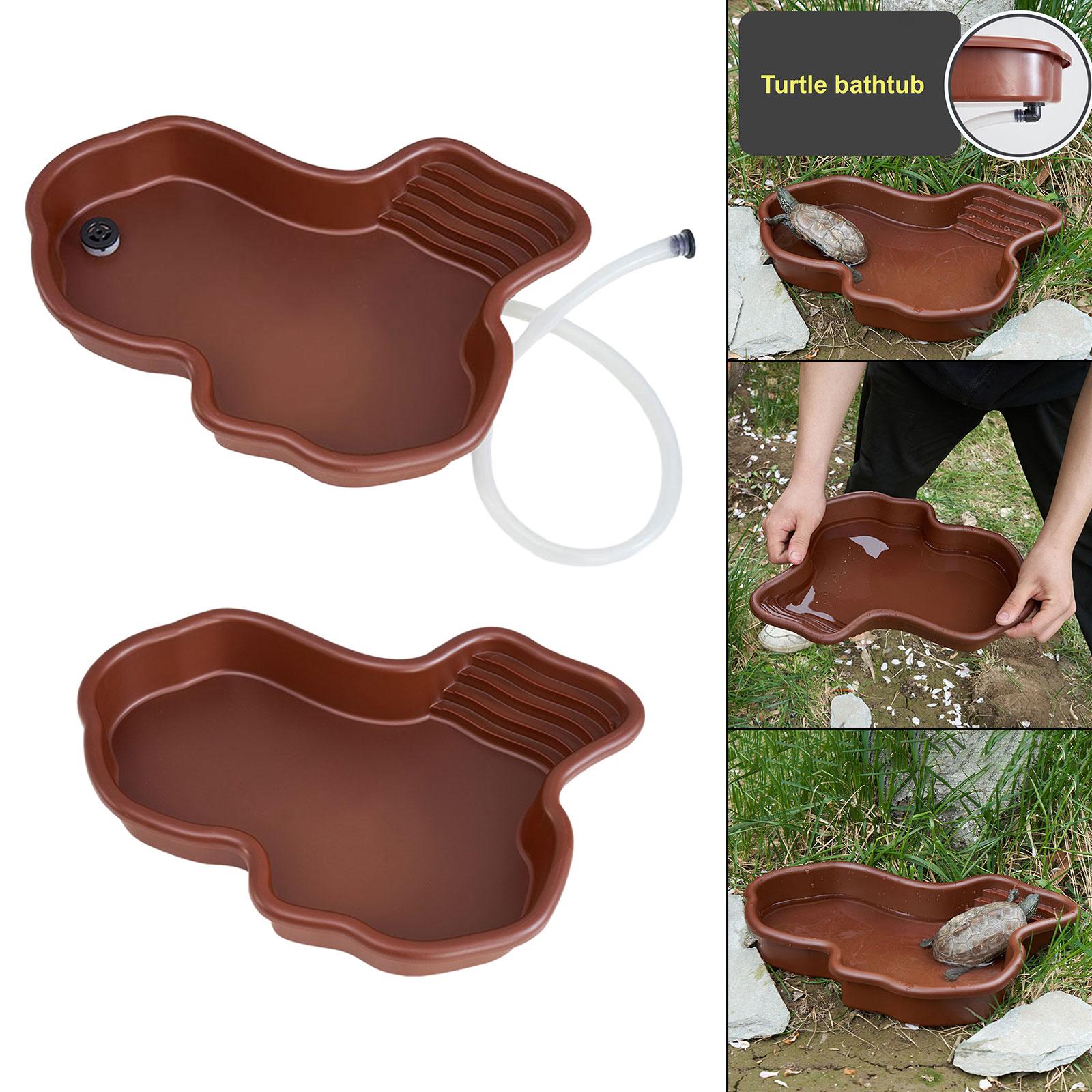 Reptile Bathing Pool Amphibian - Water Dish Reptile avis et prix
