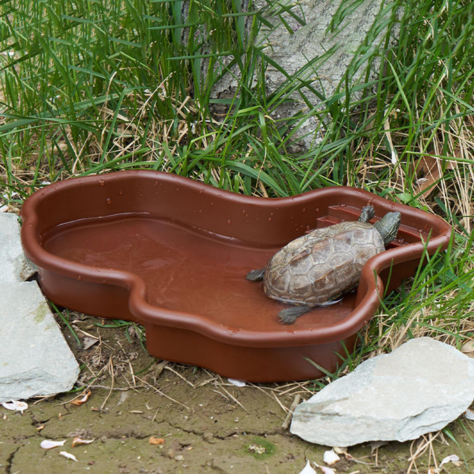 Reptile Bathing Pool Amphibian - Water Dish Reptile avis et prix