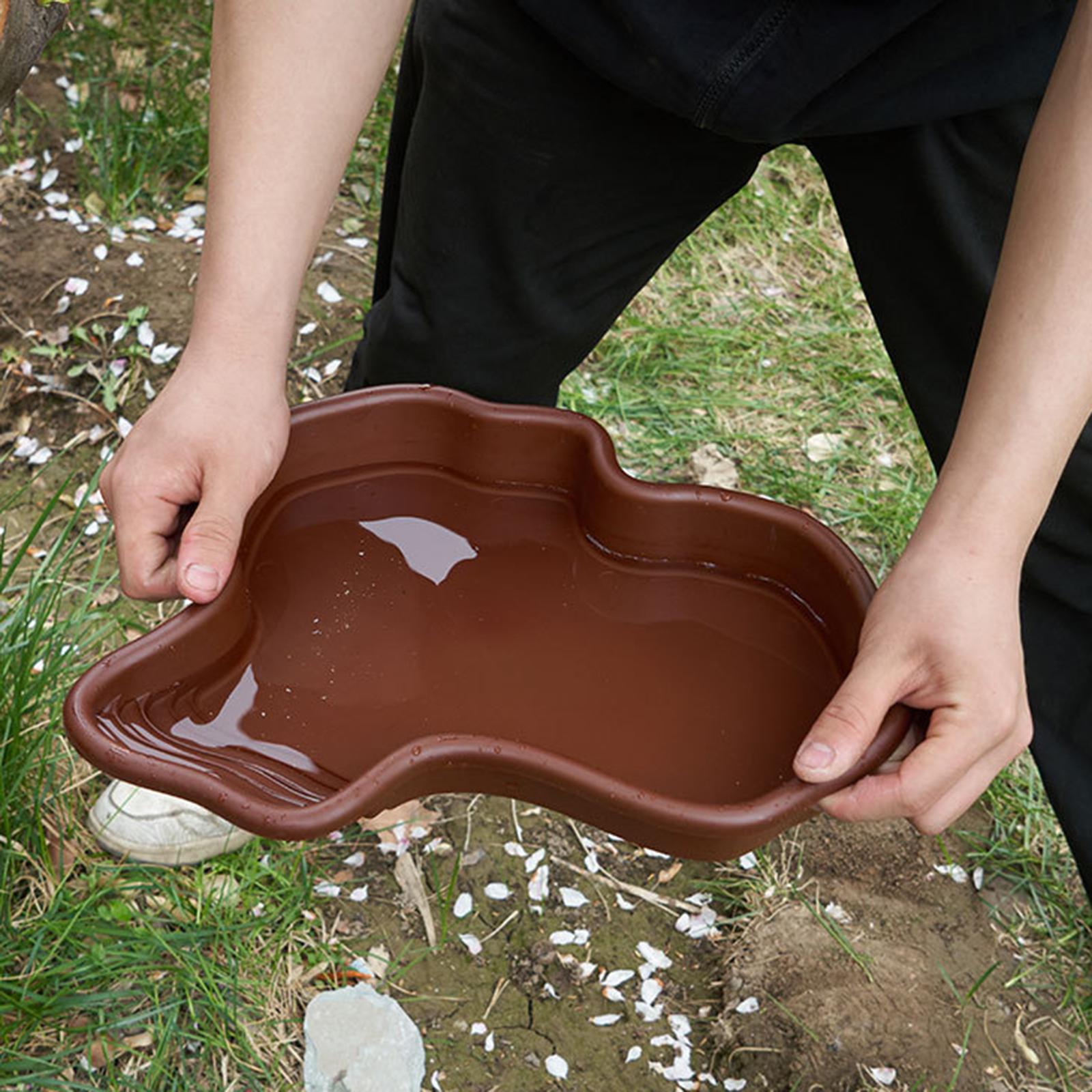 Reptile Bathing Pool Amphibian - Water Dish Reptile avis et prix