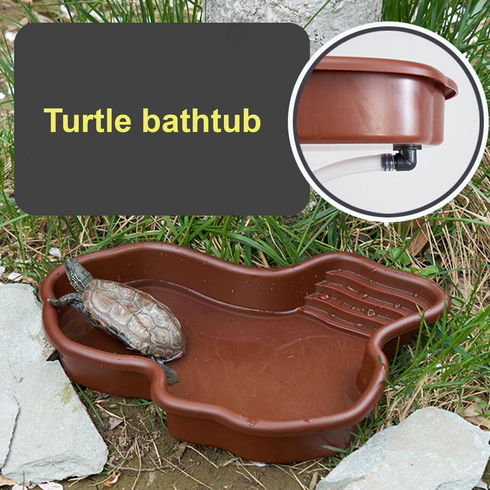 Reptile Bathing Pool Amphibian - Water Dish Reptile avis et prix