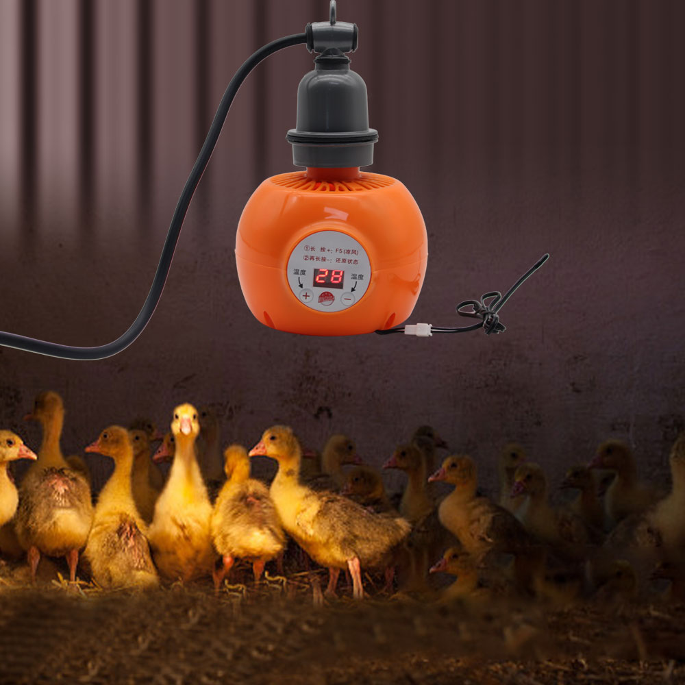 Pet Heater Animal Heating Lamp - Ceramic Heat Emitter avis et prix