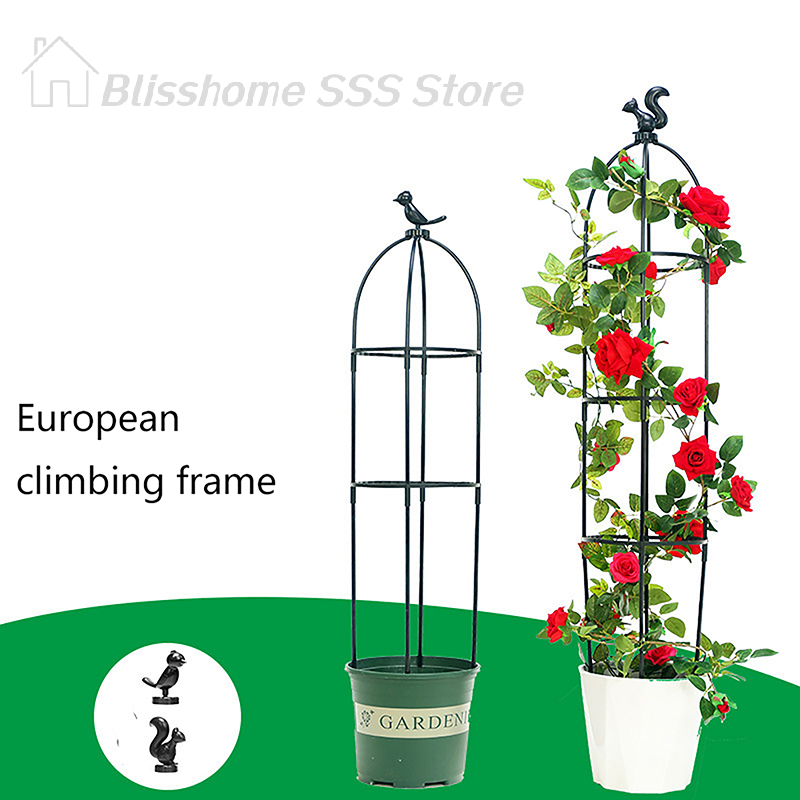 【S】1Set Climbing Plant Trellis - Vine Climbing Plastic avis et prix