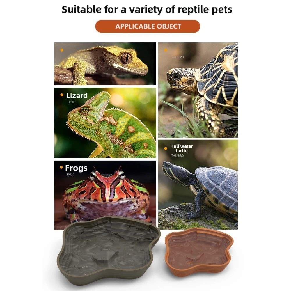 New Plastic Turtle Water Basin - Water Dish Reptile avis et prix