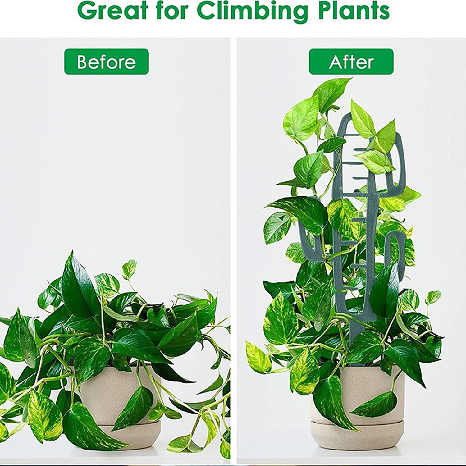 Plant Climbing Support Stand F - Vine Climbing Plastic avis et prix