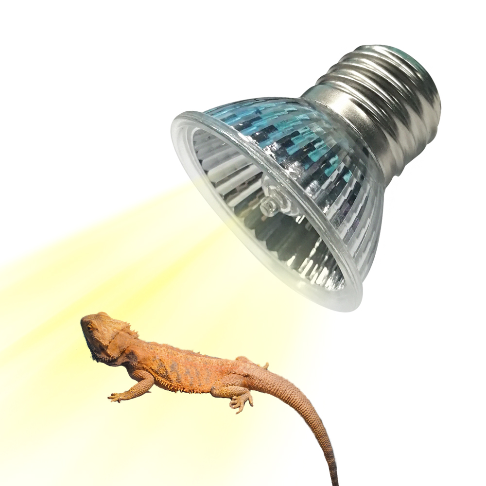 25W/75W/100W Full Spectrum UVA - Calcium Powder Reptile avis et prix